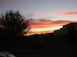 DSCN2677
