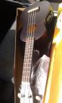 ukulele